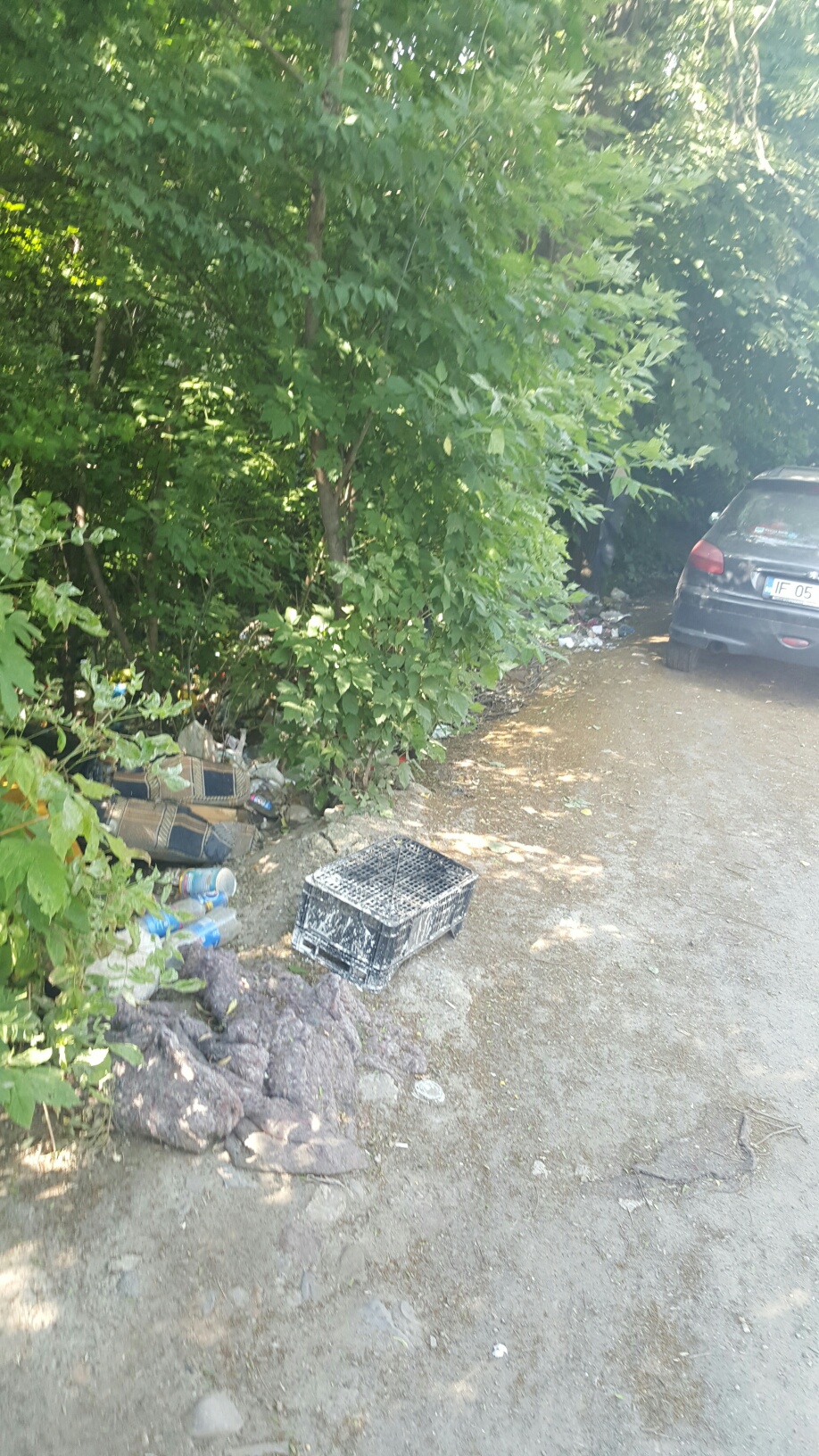 Nume:  20160524_093405_resized.jpg
Afișări: 202
Mărime:  681,6 KB