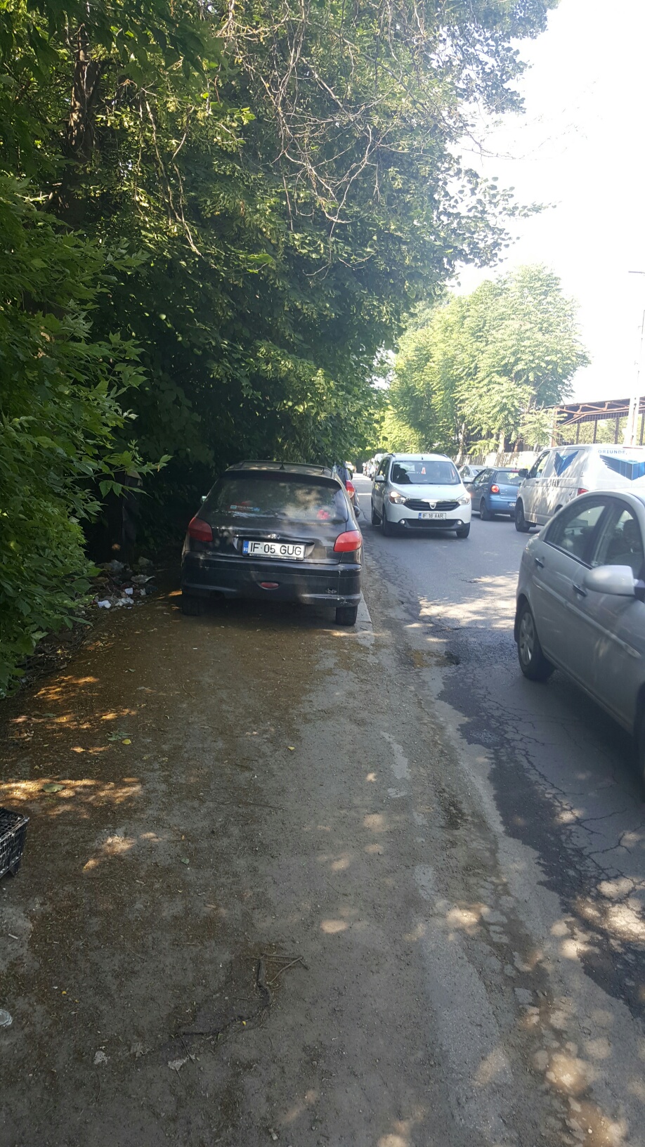 Nume:  20160524_093407_resized.jpg
Afișări: 197
Mărime:  704,7 KB