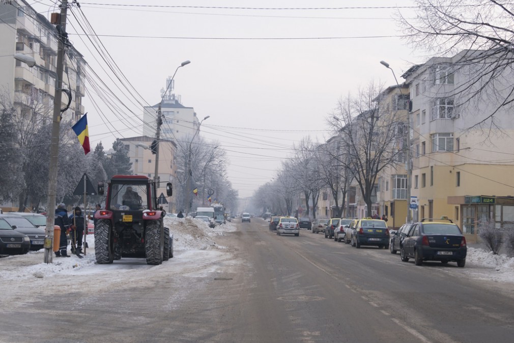 Au cosit iarba ca să plătească mai puțin la deszăpezire