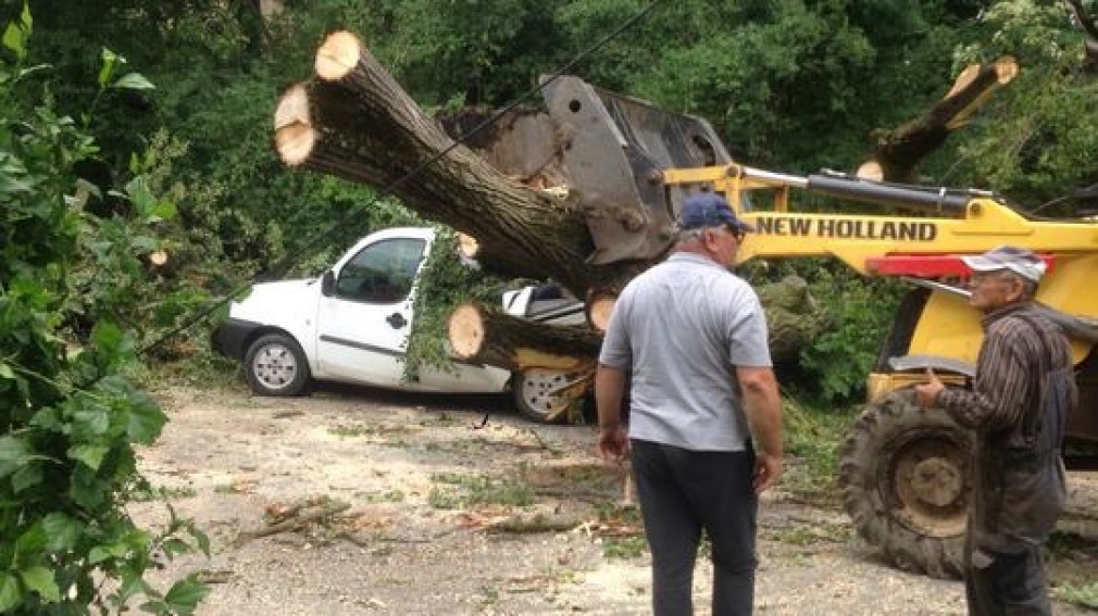 Copac căzut pe o mașină. Doi răniți