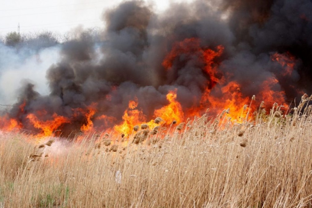 Un bărbat a ars în maşină, după ce a dat foc vegetaţiei uscate